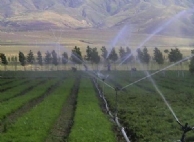 Série de aspersores de impulso para campos de milho na província de Shandong